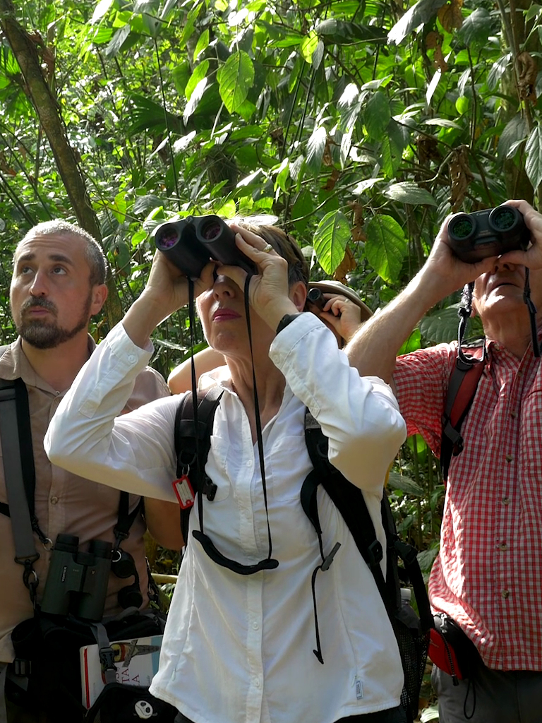 home-tours-box-bird_overview-100